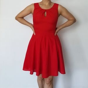 Express Fit and Flare Peekaboo Dress